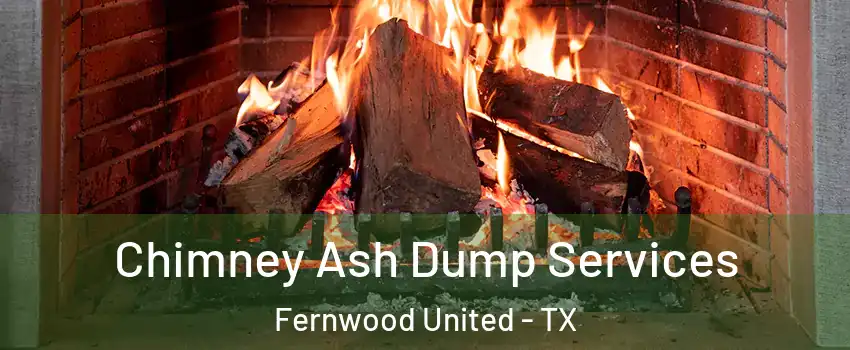 Chimney Ash Dump Services Fernwood United - TX