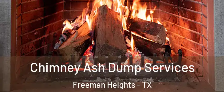 Chimney Ash Dump Services Freeman Heights - TX