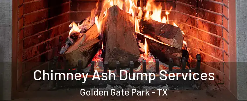 Chimney Ash Dump Services Golden Gate Park - TX