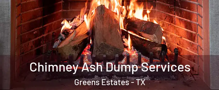 Chimney Ash Dump Services Greens Estates - TX