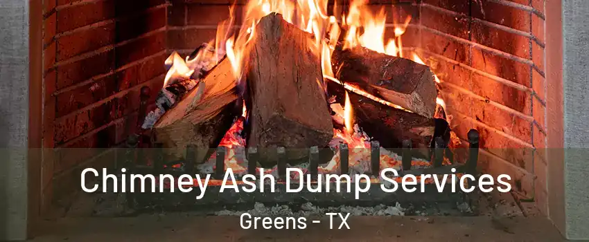 Chimney Ash Dump Services Greens - TX