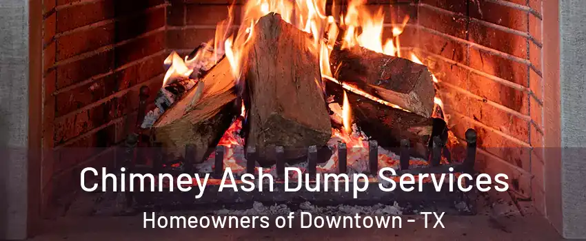 Chimney Ash Dump Services Homeowners of Downtown - TX
