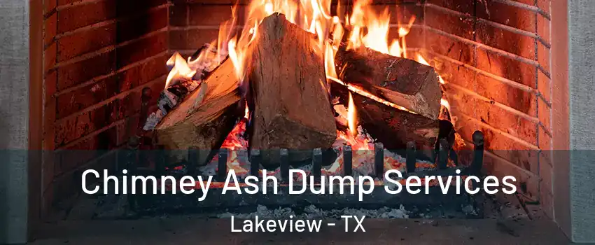 Chimney Ash Dump Services Lakeview - TX