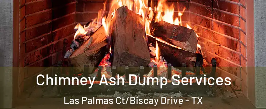 Chimney Ash Dump Services Las Palmas Ct/Biscay Drive - TX