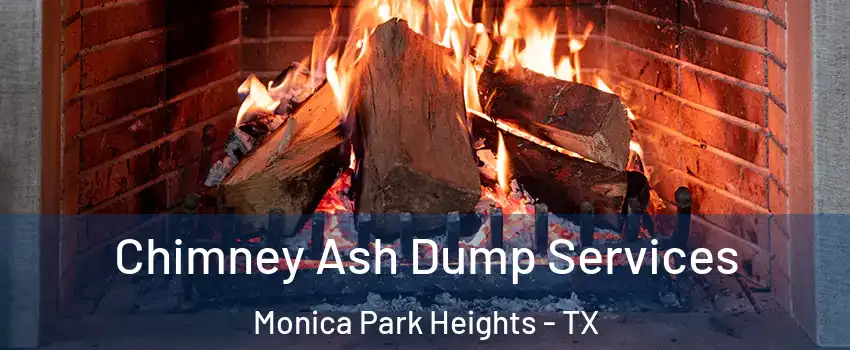 Chimney Ash Dump Services Monica Park Heights - TX