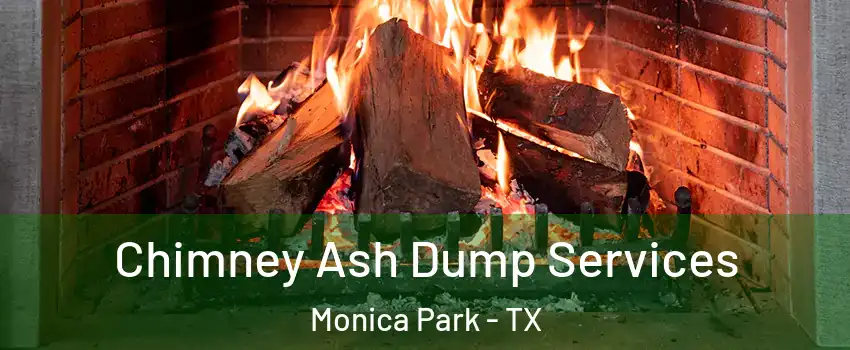 Chimney Ash Dump Services Monica Park - TX