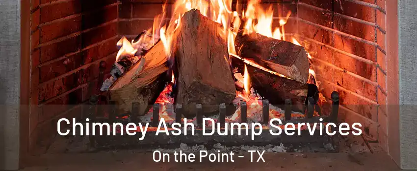 Chimney Ash Dump Services On the Point - TX