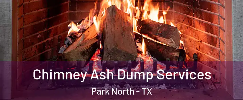 Chimney Ash Dump Services Park North - TX