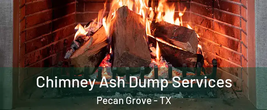Chimney Ash Dump Services Pecan Grove - TX
