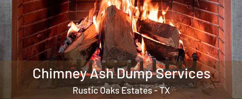 Chimney Ash Dump Services Rustic Oaks Estates - TX
