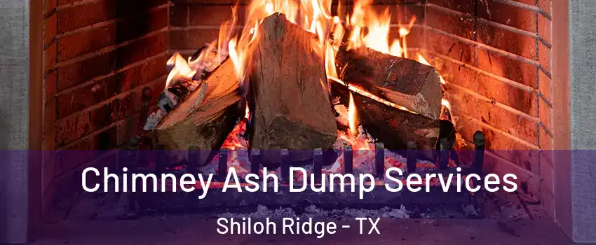 Chimney Ash Dump Services Shiloh Ridge - TX