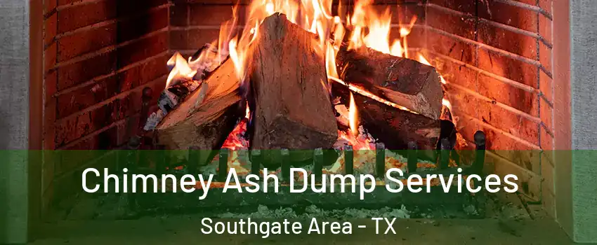 Chimney Ash Dump Services Southgate Area - TX