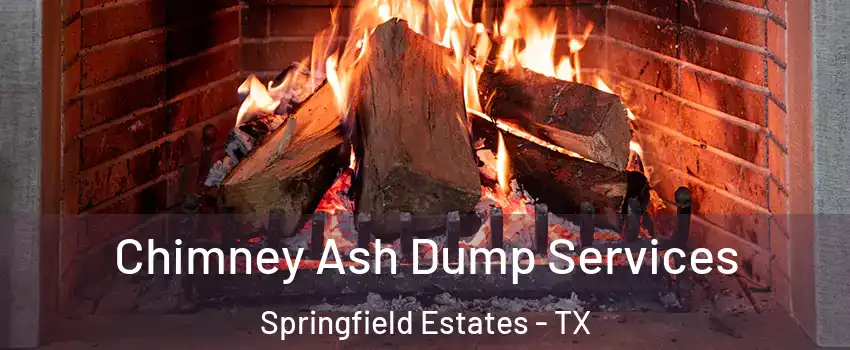 Chimney Ash Dump Services Springfield Estates - TX