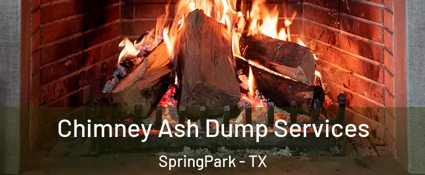Chimney Ash Dump Services SpringPark - TX