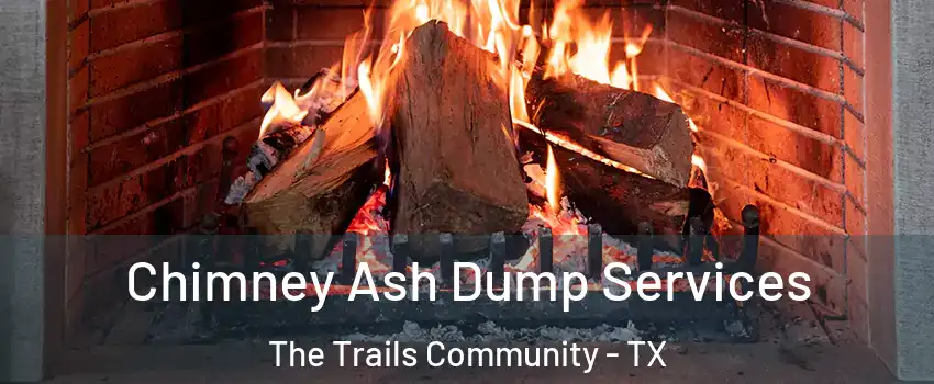 Chimney Ash Dump Services The Trails Community - TX