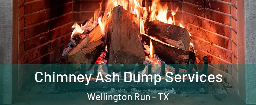 Chimney Ash Dump Services Wellington Run - TX