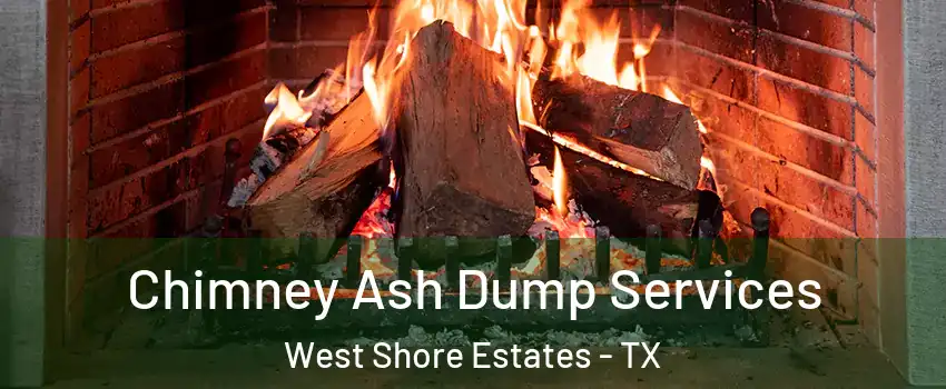 Chimney Ash Dump Services West Shore Estates - TX