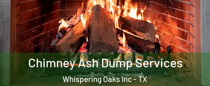 Chimney Ash Dump Services Whispering Oaks Inc - TX