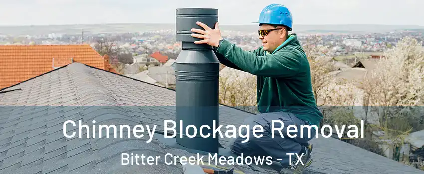 Chimney Blockage Removal Bitter Creek Meadows - TX