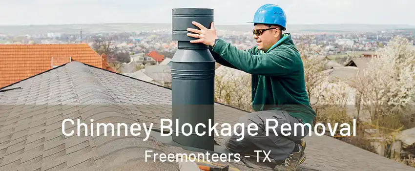 Chimney Blockage Removal Freemonteers - TX