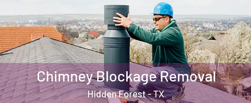 Chimney Blockage Removal Hidden Forest - TX