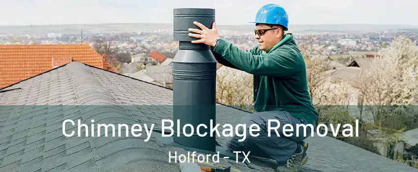 Chimney Blockage Removal Holford - TX
