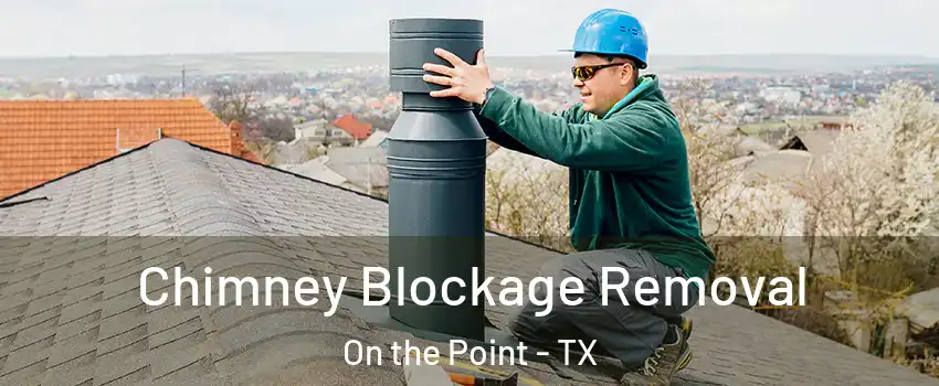 Chimney Blockage Removal On the Point - TX