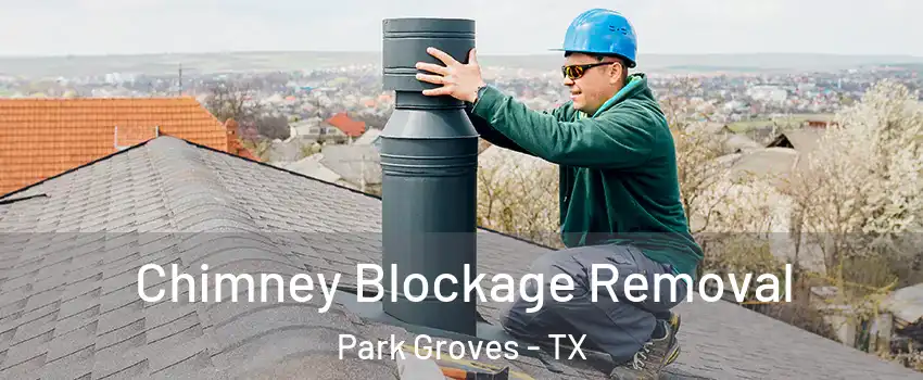 Chimney Blockage Removal Park Groves - TX