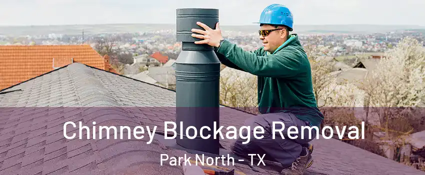 Chimney Blockage Removal Park North - TX