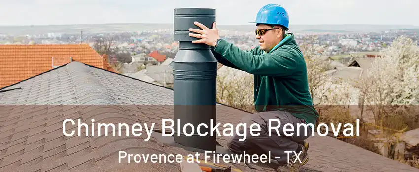 Chimney Blockage Removal Provence at Firewheel - TX