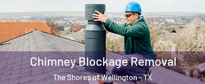 Chimney Blockage Removal The Shores of Wellington - TX