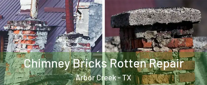 Chimney Bricks Rotten Repair Arbor Creek - TX