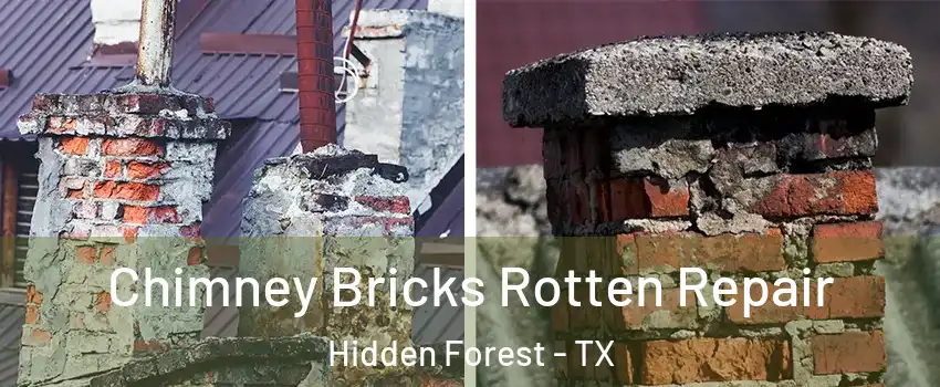 Chimney Bricks Rotten Repair Hidden Forest - TX