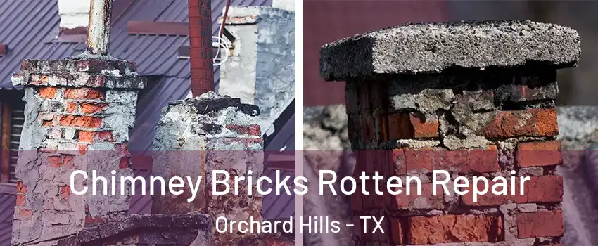 Chimney Bricks Rotten Repair Orchard Hills - TX