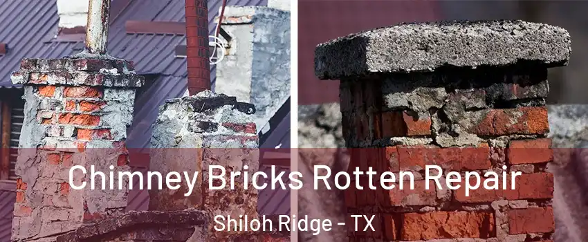 Chimney Bricks Rotten Repair Shiloh Ridge - TX