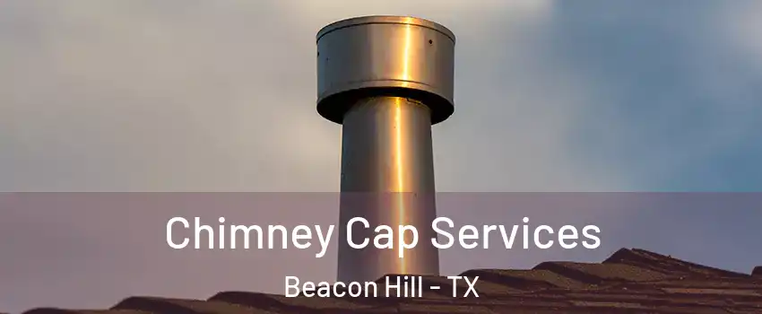 Chimney Cap Services Beacon Hill - TX