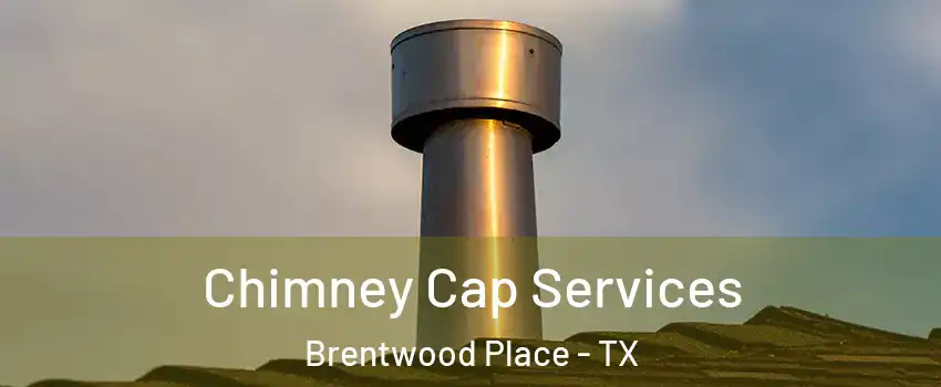 Chimney Cap Services Brentwood Place - TX
