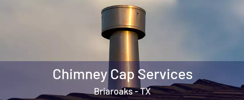 Chimney Cap Services Briaroaks - TX