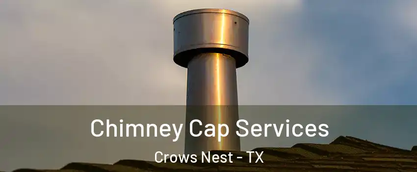 Chimney Cap Services Crows Nest - TX