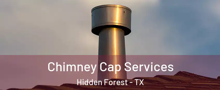 Chimney Cap Services Hidden Forest - TX