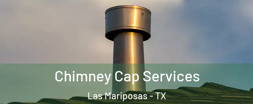 Chimney Cap Services Las Mariposas - TX