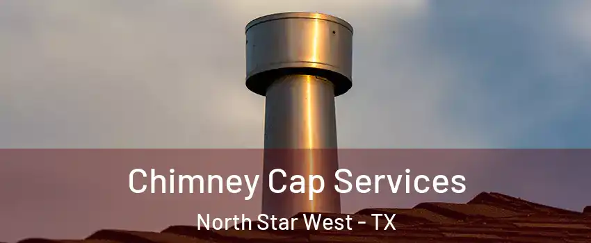 Chimney Cap Services North Star West - TX