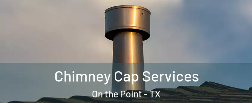 Chimney Cap Services On the Point - TX