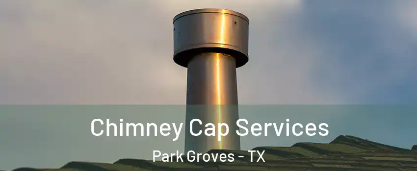 Chimney Cap Services Park Groves - TX