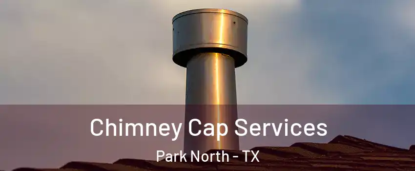 Chimney Cap Services Park North - TX