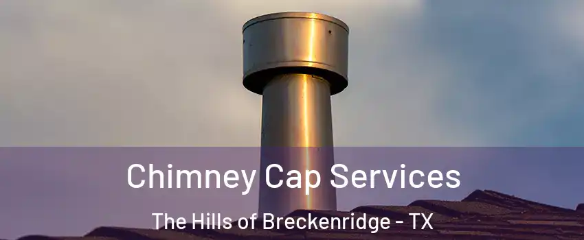 Chimney Cap Services The Hills of Breckenridge - TX