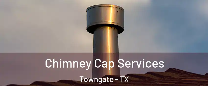 Chimney Cap Services Towngate - TX