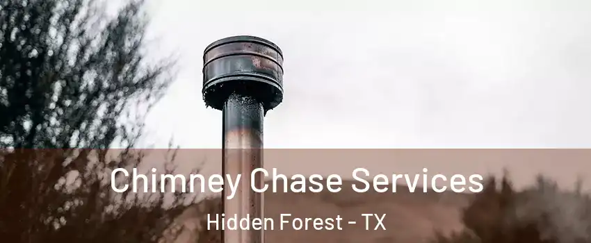 Chimney Chase Services Hidden Forest - TX