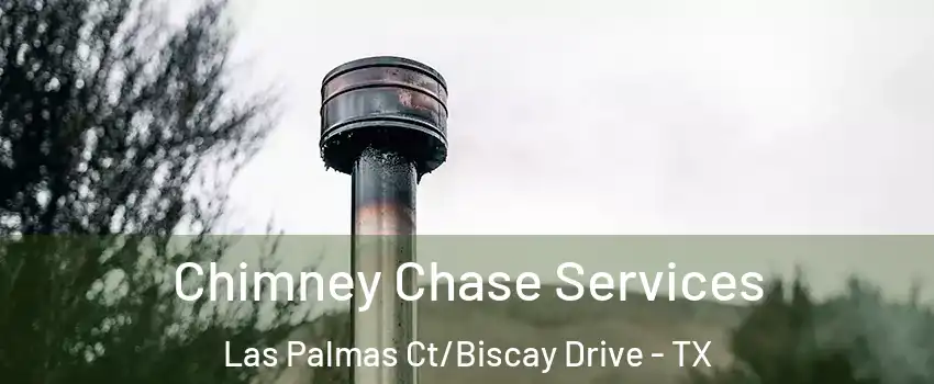 Chimney Chase Services Las Palmas Ct/Biscay Drive - TX
