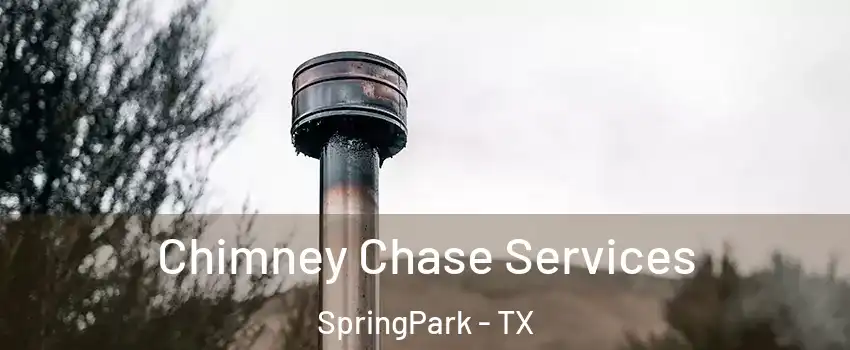 Chimney Chase Services SpringPark - TX